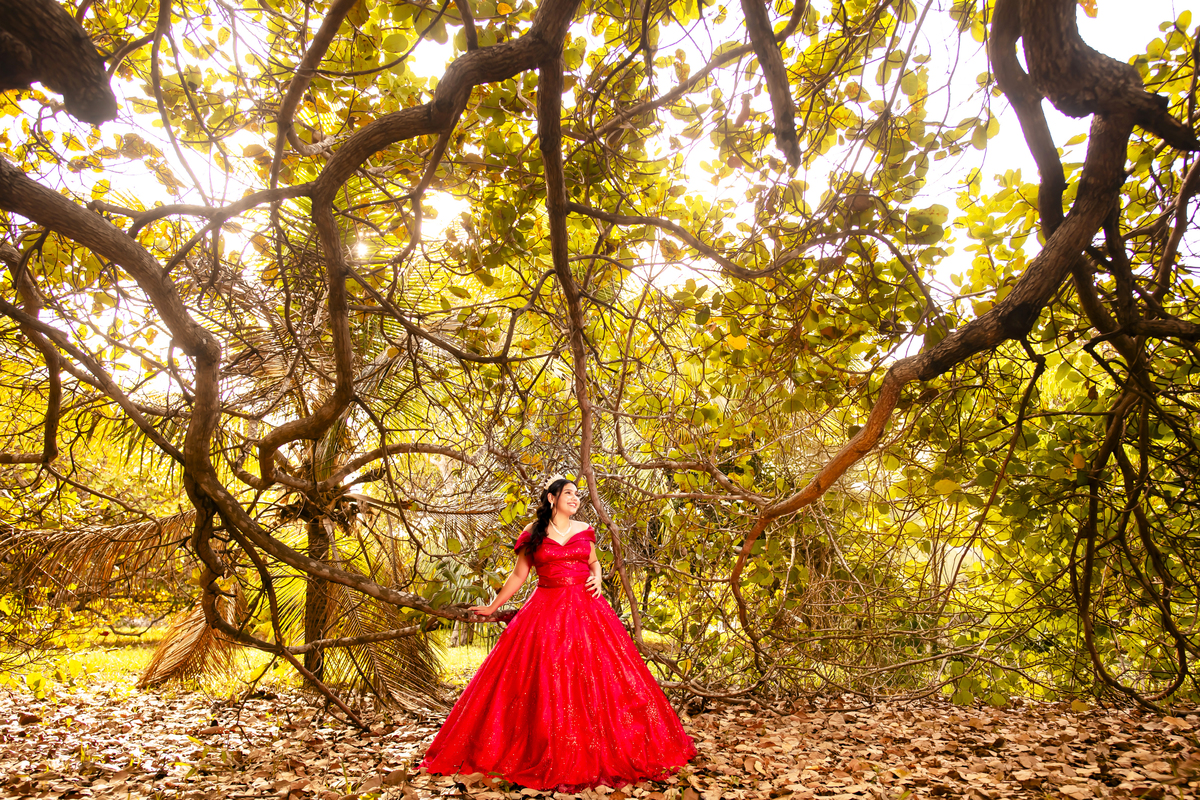 Ensaio 15 anos Sitio Olhares Eusebio