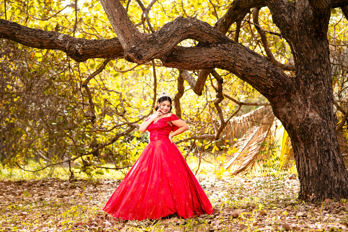 Ensaio 15 anos Sitio Olhares Eusebio