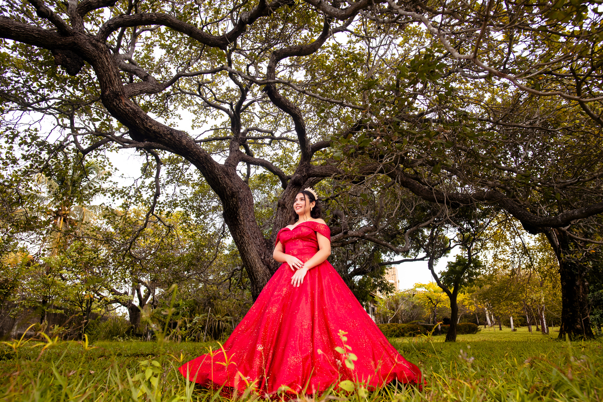 Ensaio 15 anos Sitio Olhares Eusebio