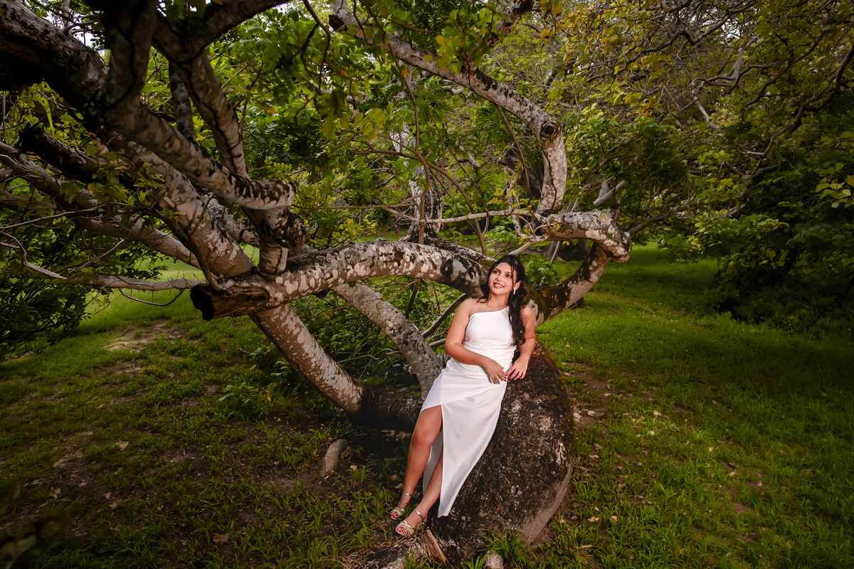 Ensaio 15 anos Sitio Olhares Eusebio