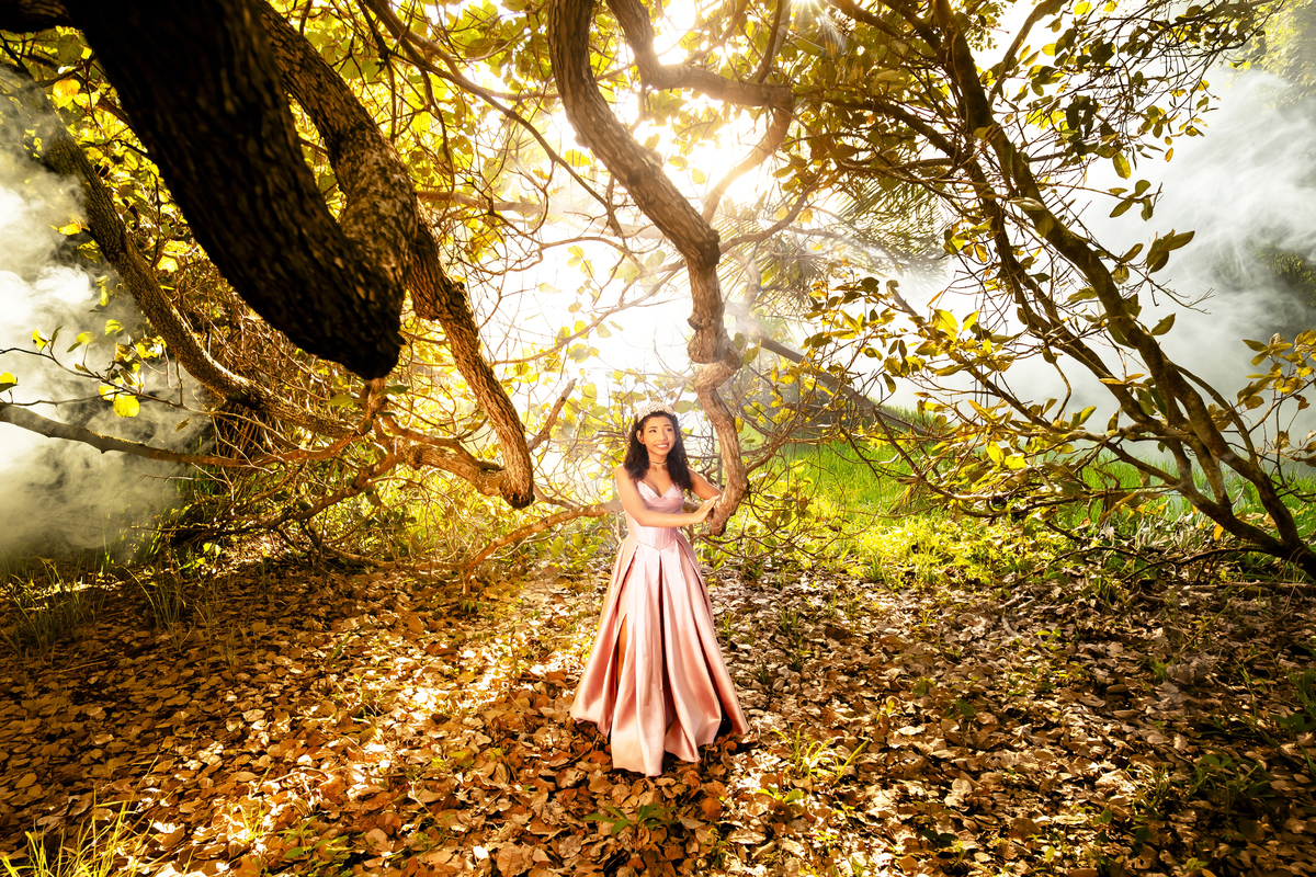 Ensaio fotográfico 15 anos