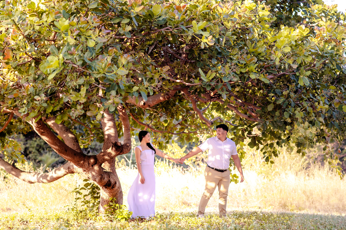 Ensaio pre wedding na Fazenda Terra do Sol