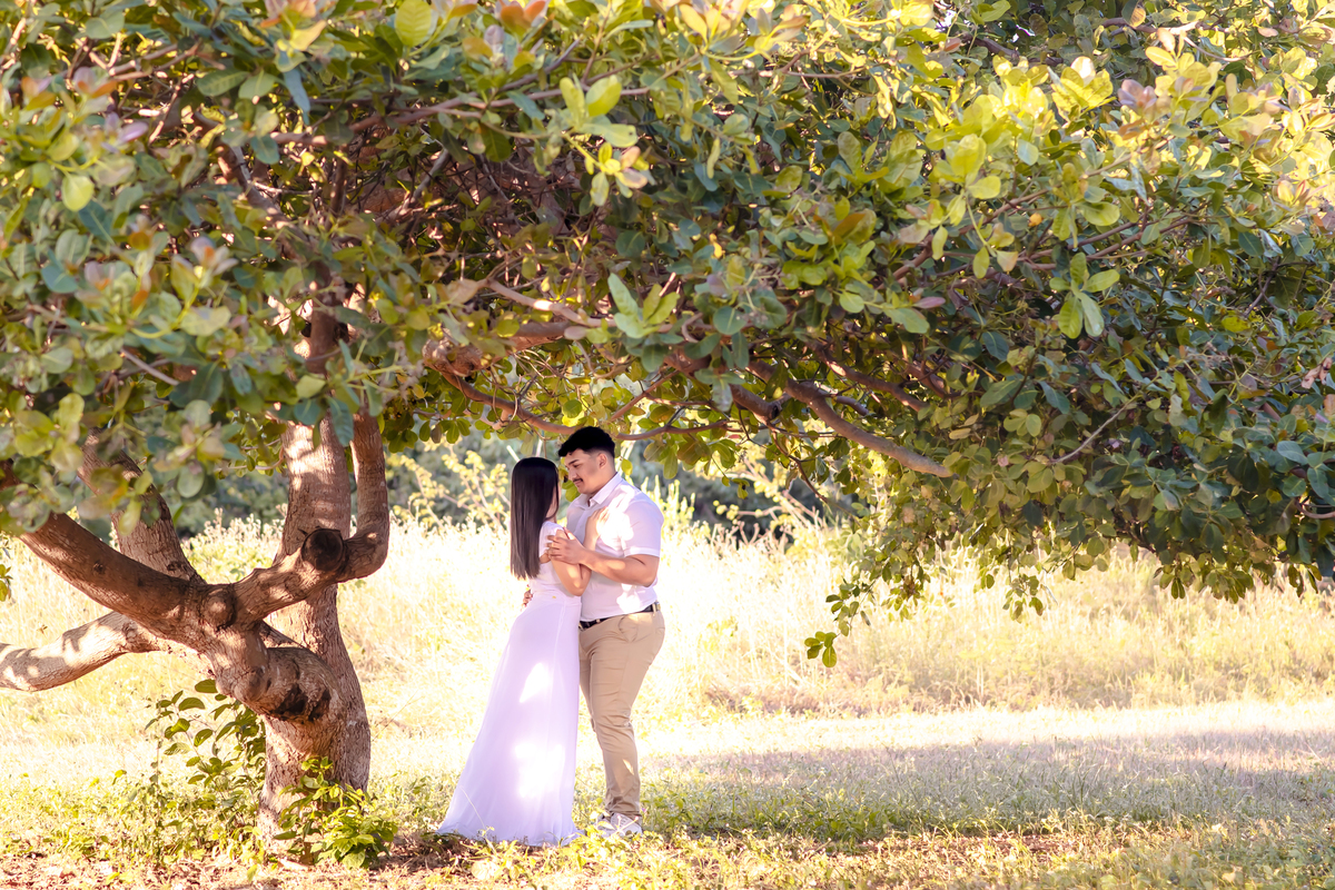 Ensaio pre wedding na Fazenda Terra do Sol