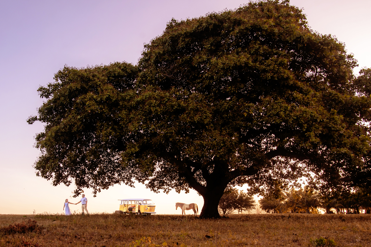 Ensaio pre wedding na Fazenda Terra do Sol
