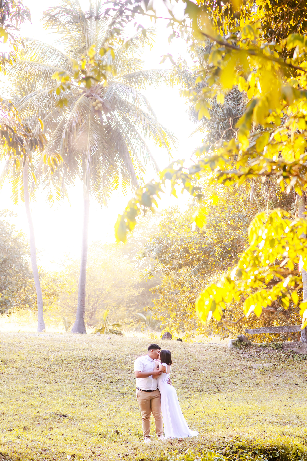 Ensaio pre wedding na Fazenda Terra do Sol
