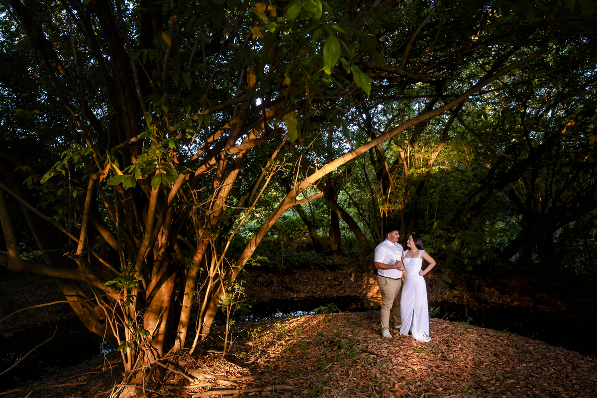 Ensaio pre wedding na Fazenda Terra do Sol