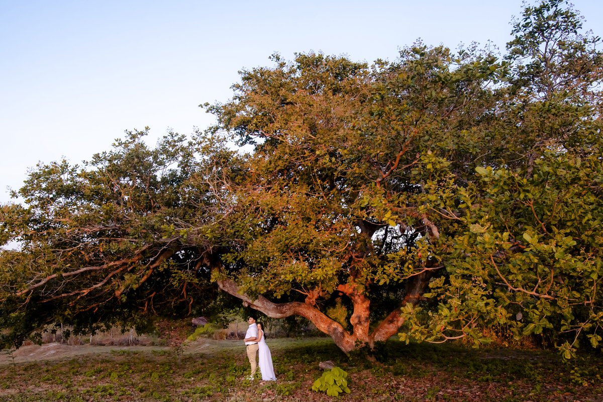 Ensaio pre wedding na Fazenda Terra do Sol
