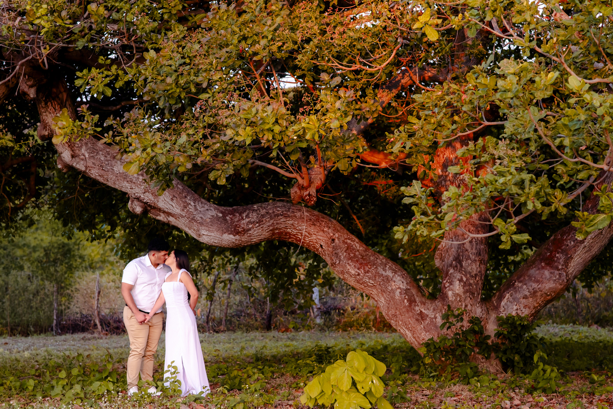 Ensaio pre wedding na Fazenda Terra do Sol