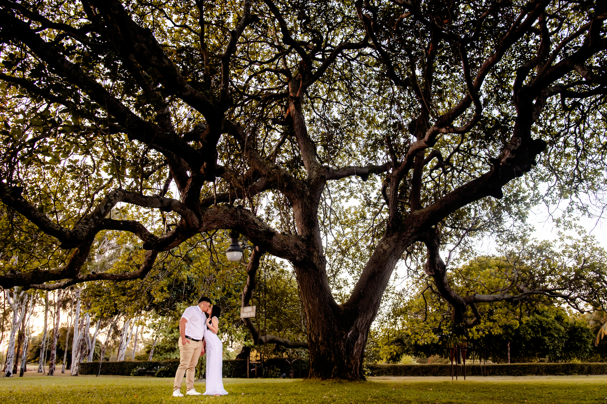 Ensaio pre wedding na Fazenda Terra do Sol