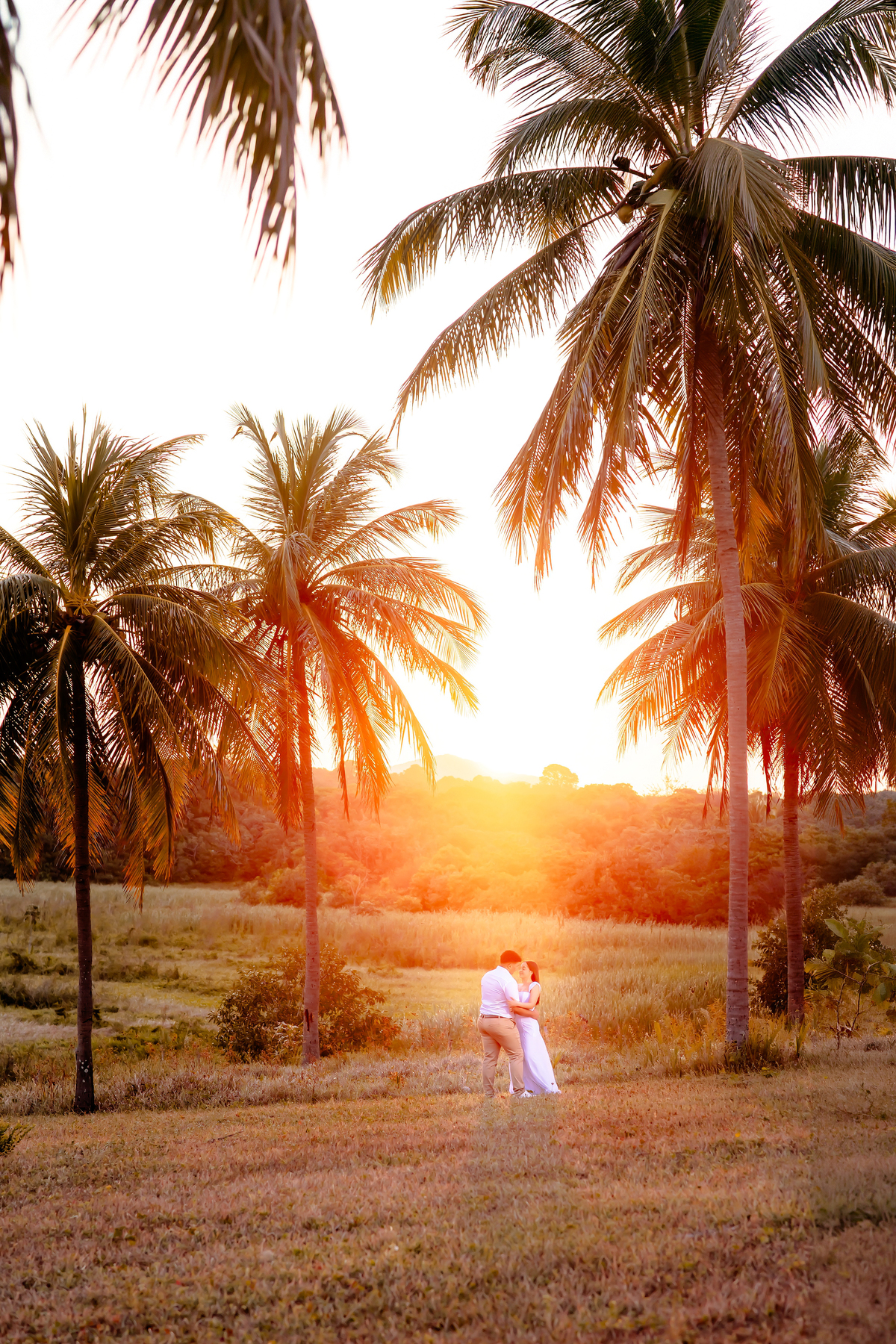 Ensaio pre wedding na Fazenda Terra do Sol