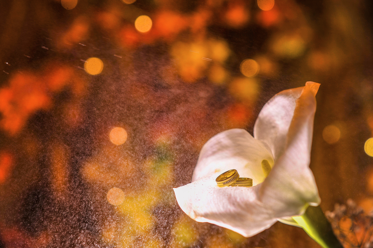 alianças de casamento