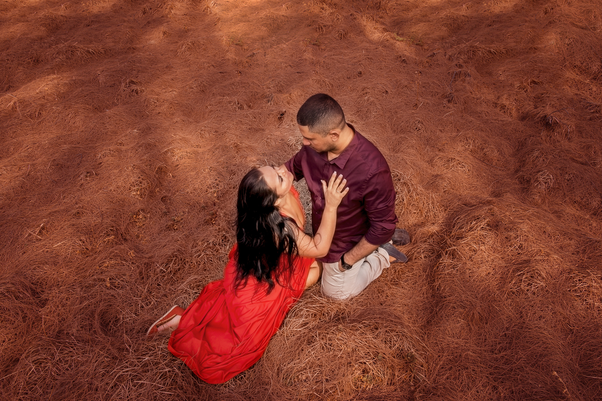 Ensaio noivos no campo