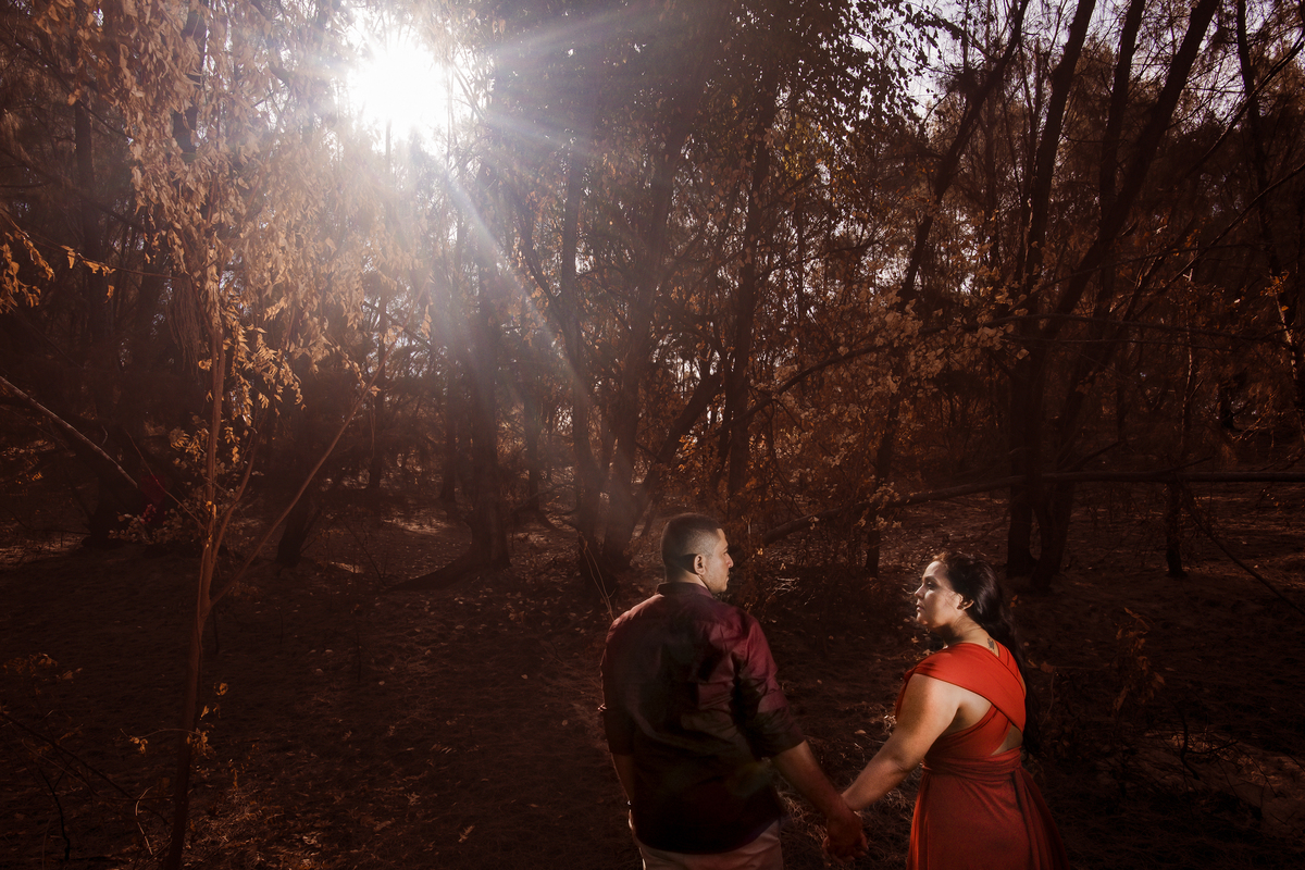 Ensaio fotografico casal no bosque
