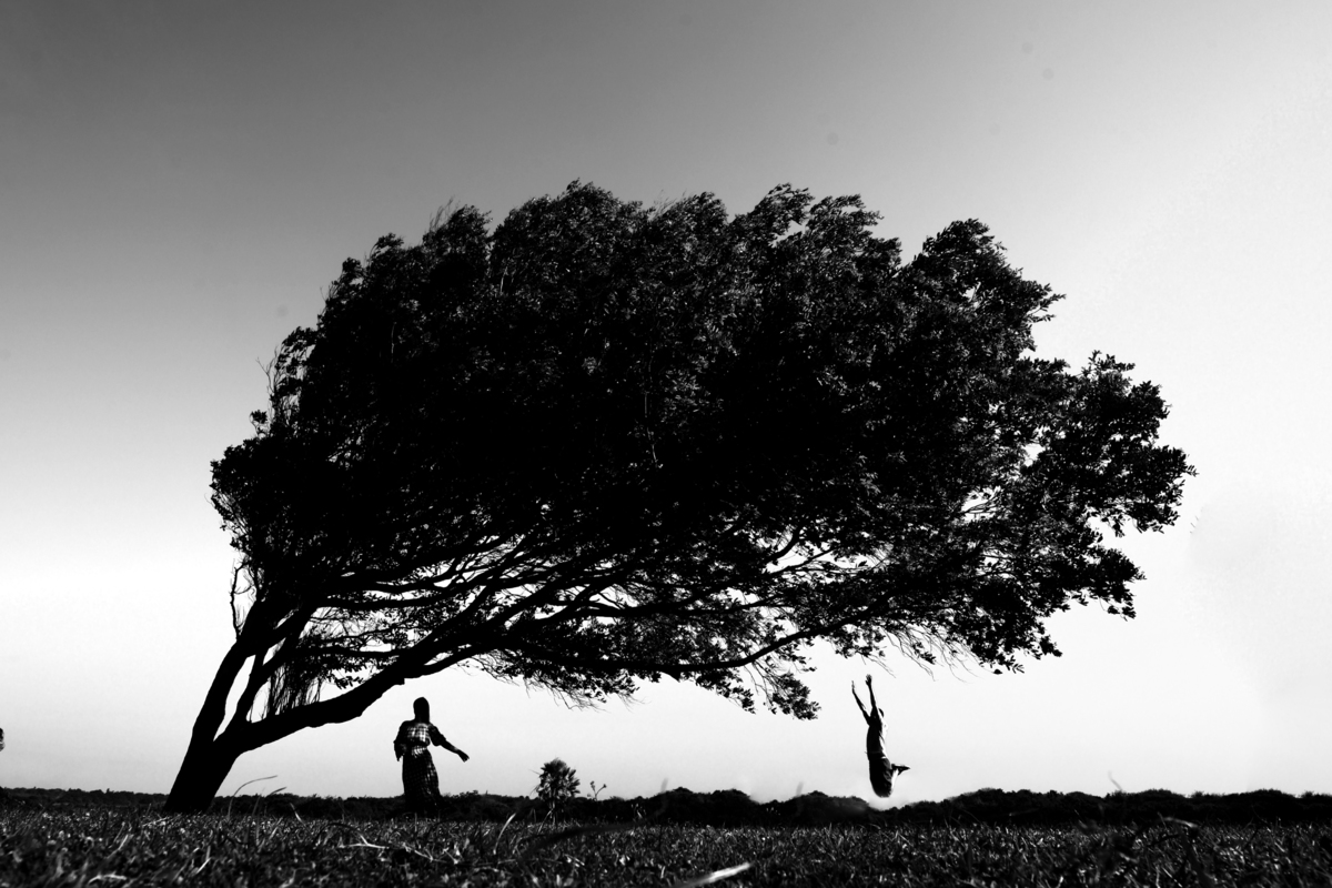 Ensaio pre wedding fazenda Terra do Sol