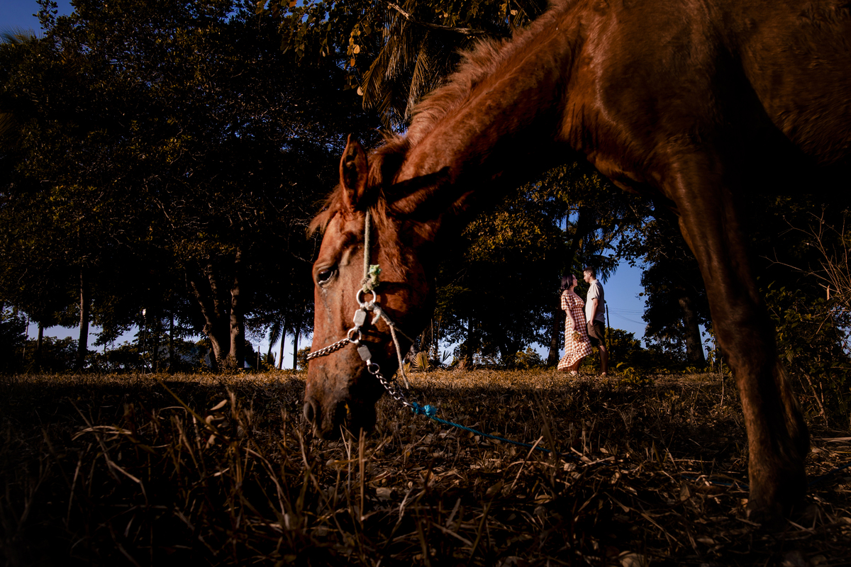 Ensaio pre wedding fazenda Terra do Sol