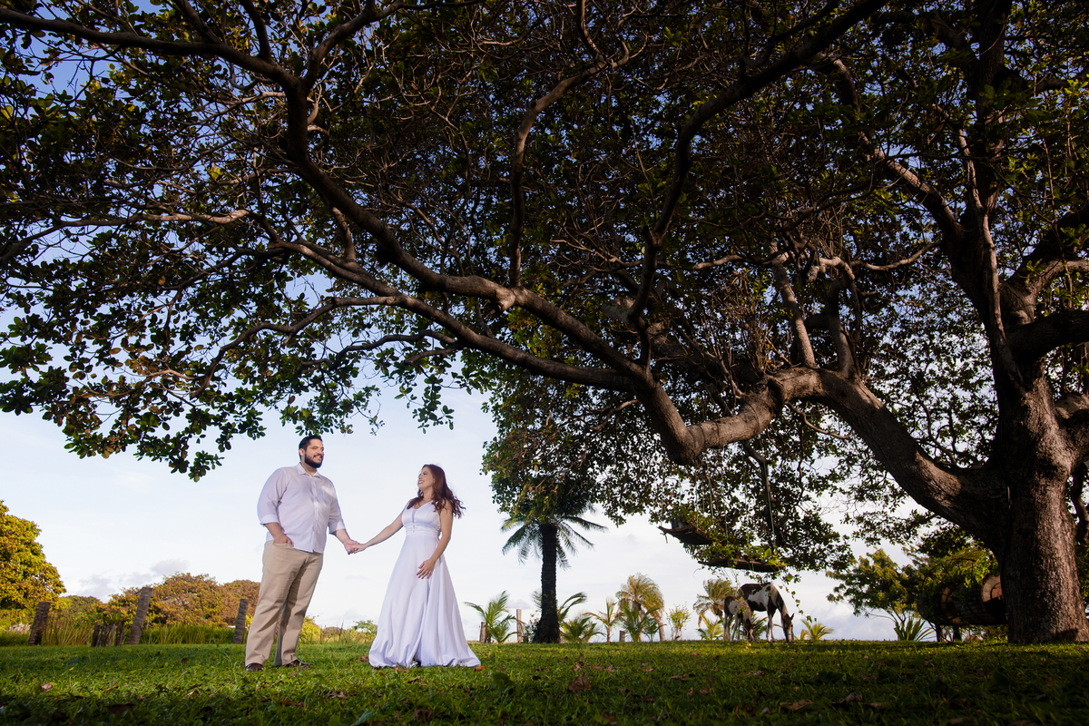 Ensaio fotografico casamento na fazenda terra do sol