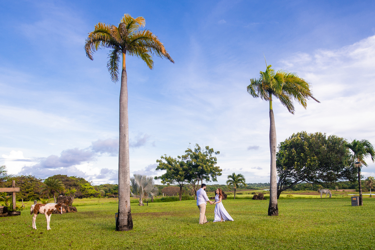 Ensaio fotografico casamento na fazenda terra do sol