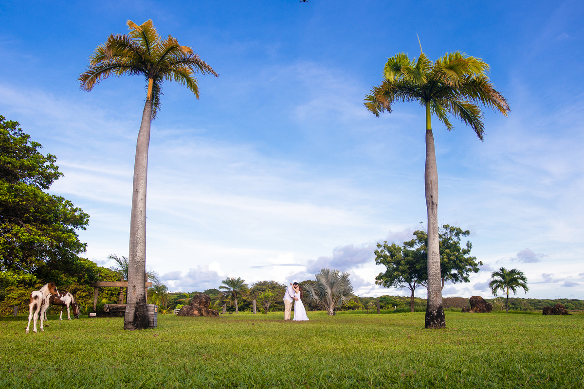 Ensaio fotografico casamento na fazenda terra do sol