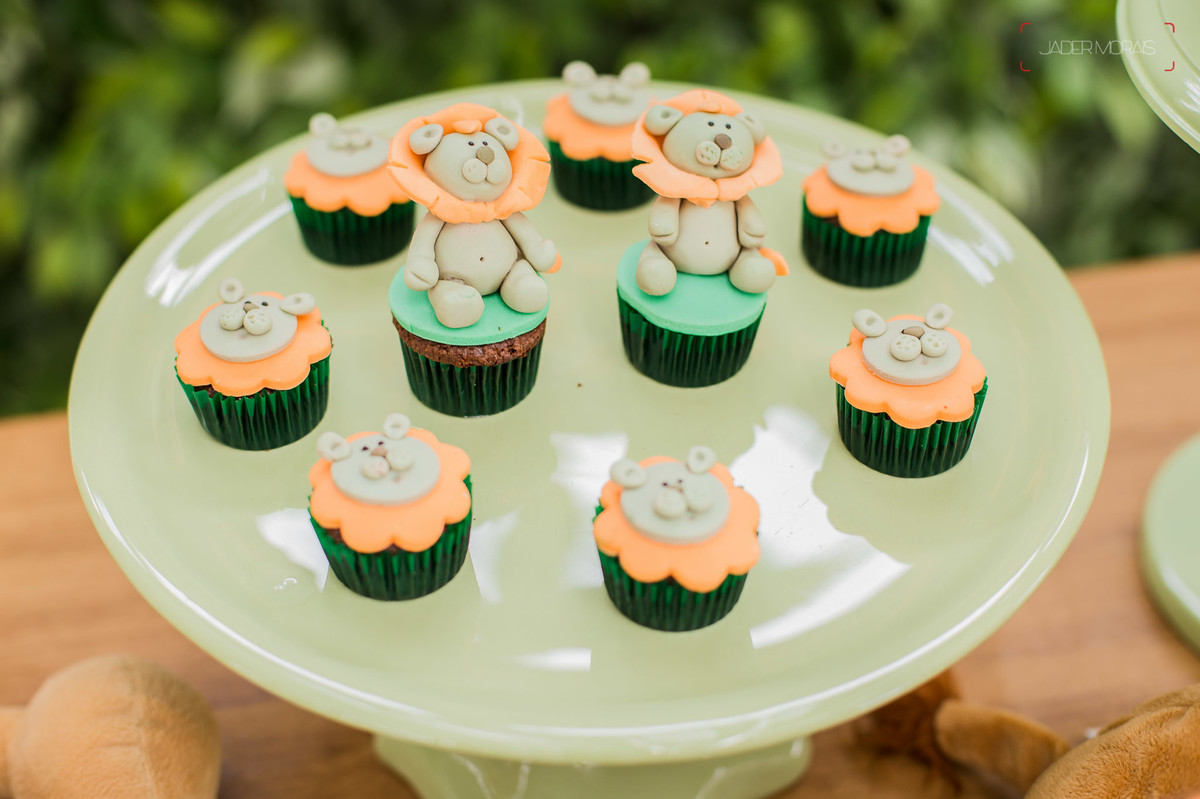 Fotografia de Aniversário Infantil Chácara Tavares Campinas SP 