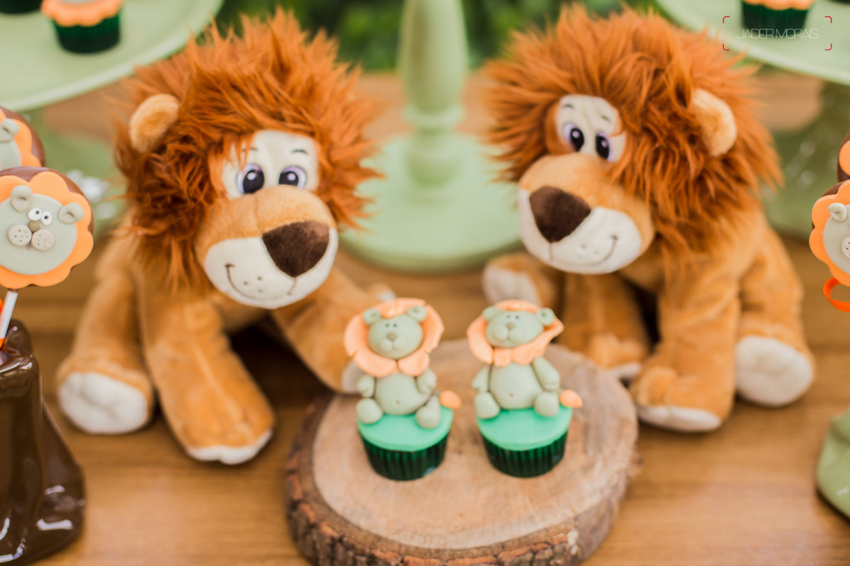 Fotografia de Aniversário Infantil Chácara Tavares Campinas SP 