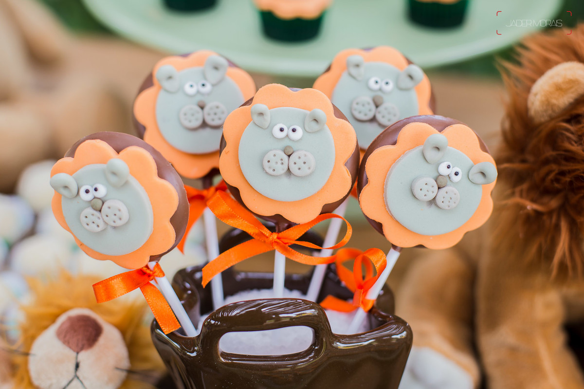 Fotografia de Aniversário Infantil Chácara Tavares Campinas SP 