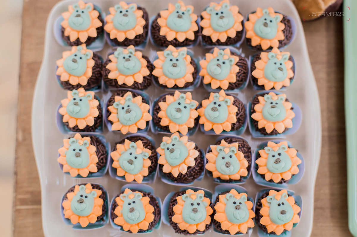 Fotografia de Aniversário Infantil Chácara Tavares Campinas SP 