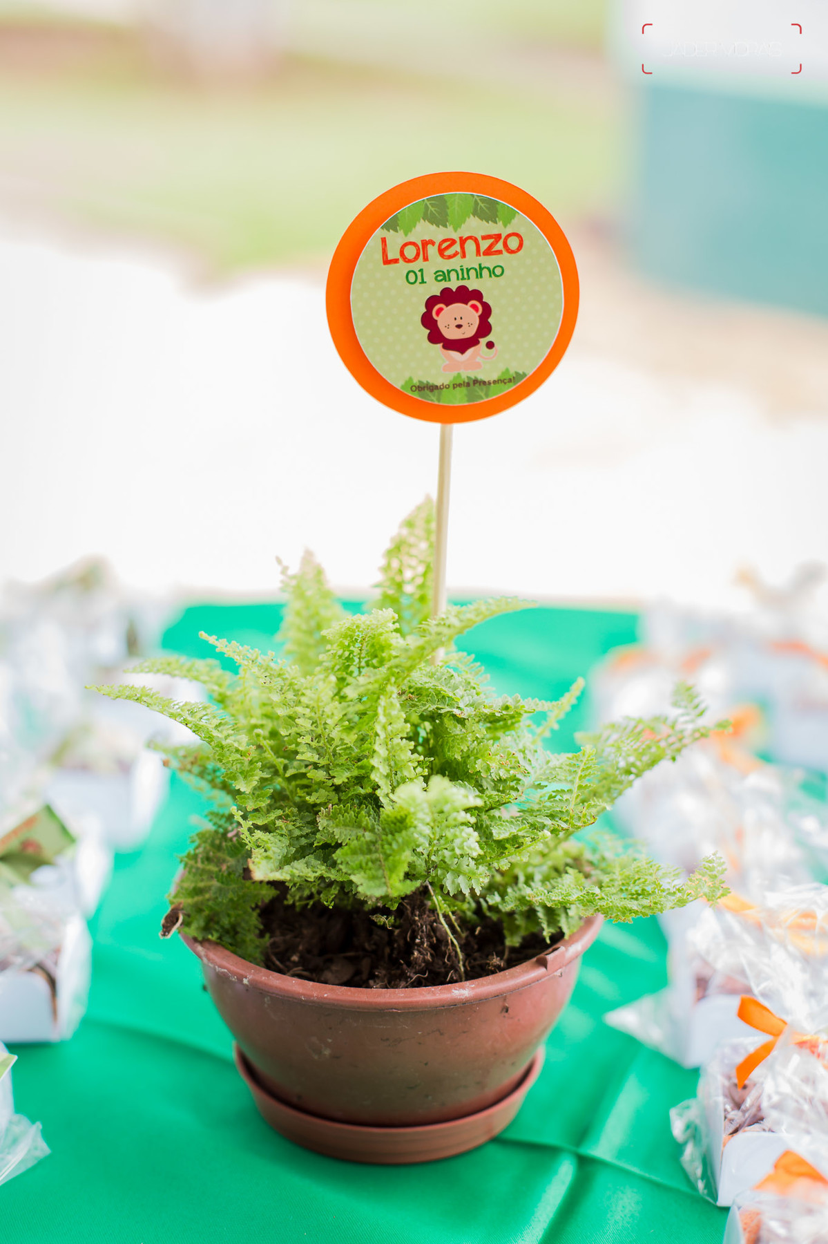 Fotografia de Aniversário Infantil Chácara Tavares Campinas SP 