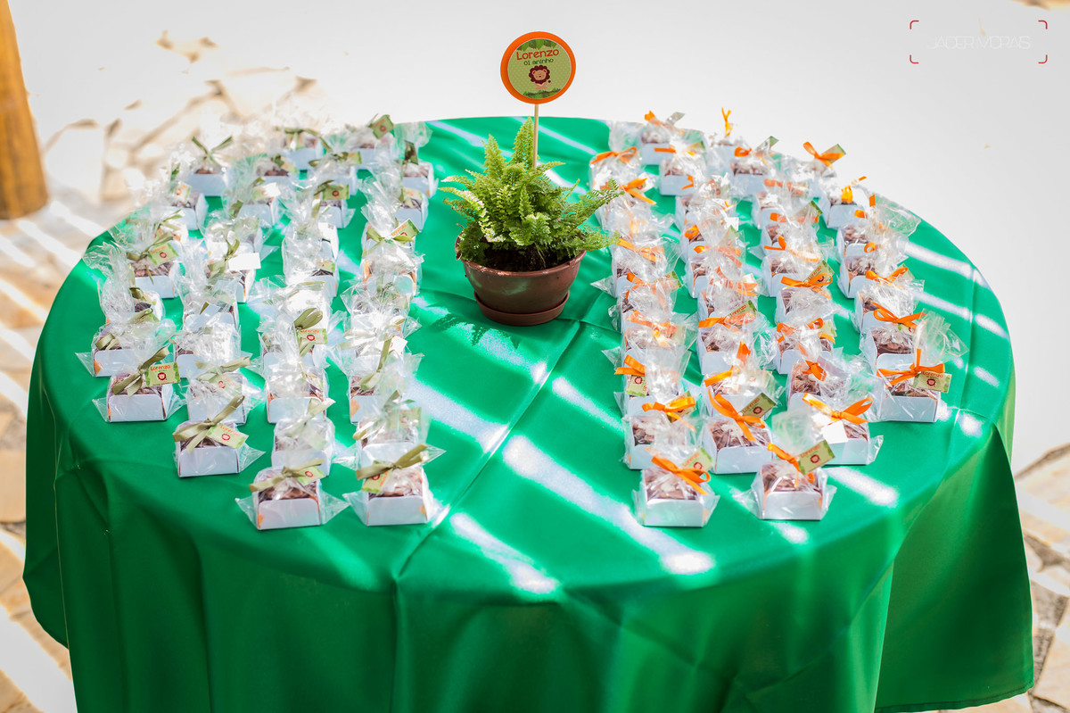 Fotografia de Aniversário Infantil Chácara Tavares Campinas SP 