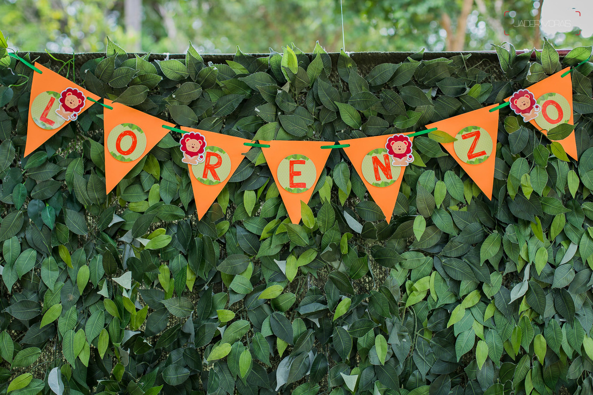 Fotografia de Aniversário Infantil Chácara Tavares Campinas SP 