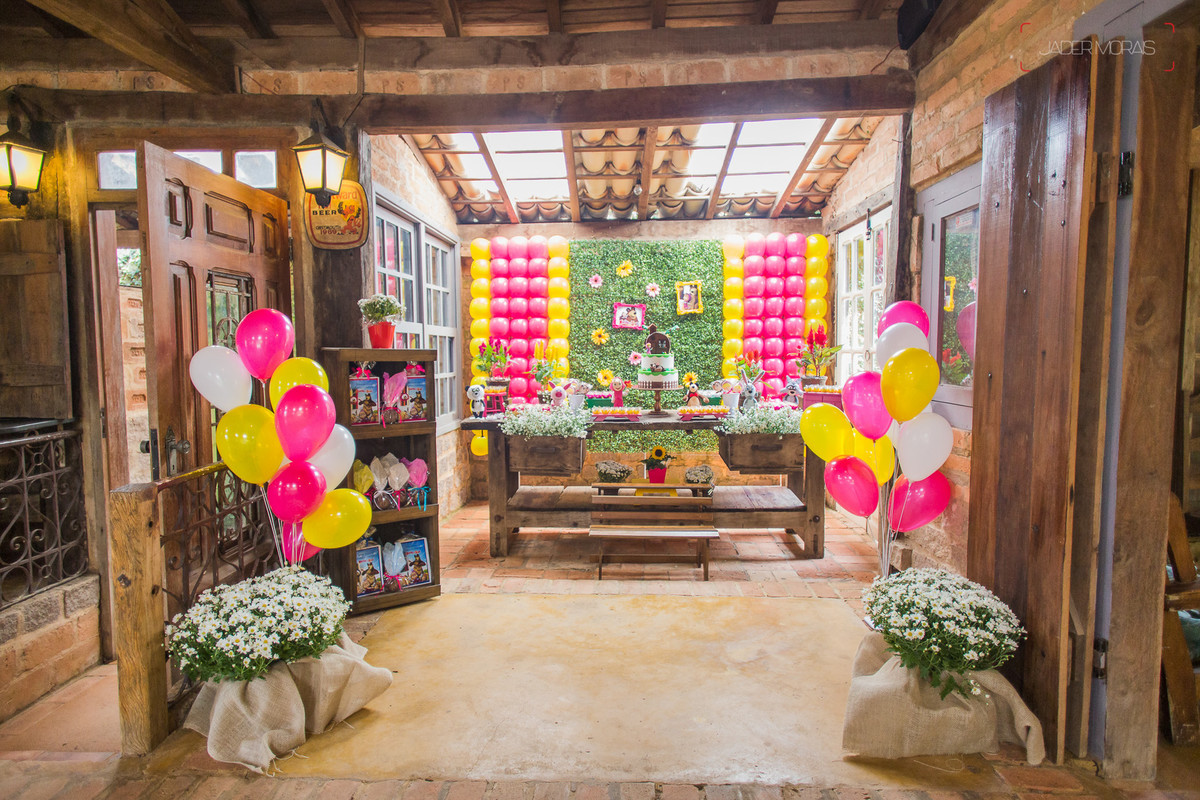 Fotografia de Aniversário Infantil Chácara Piuí Vinhedo SP