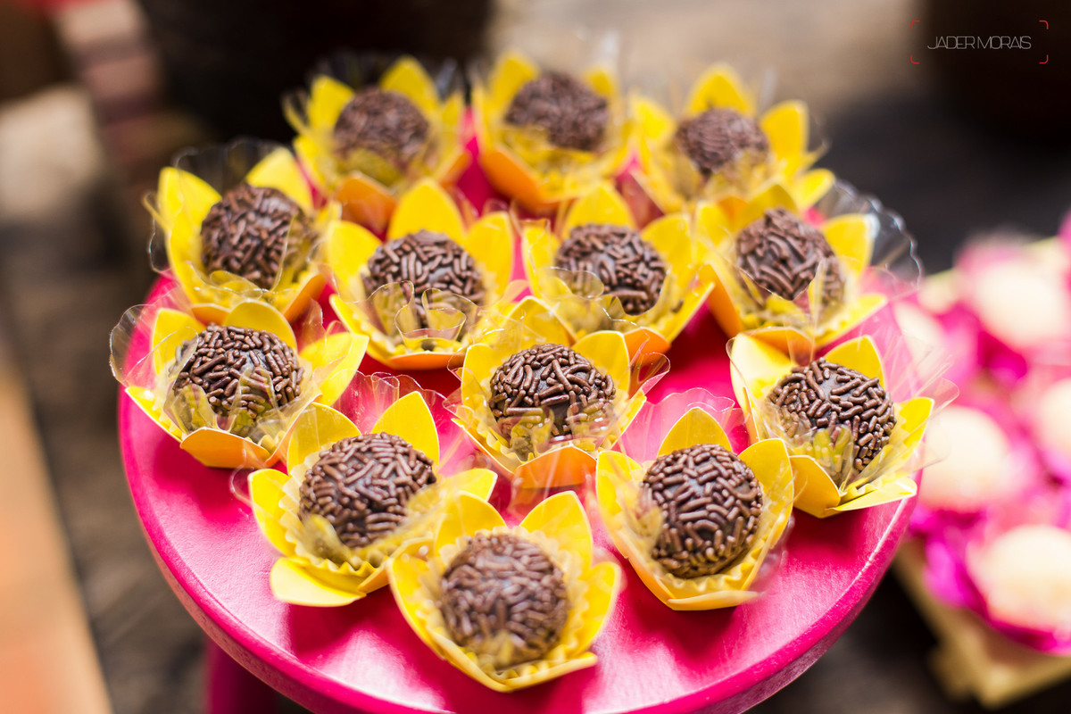Fotografia de Aniversário Infantil Chácara Piuí Vinhedo SP