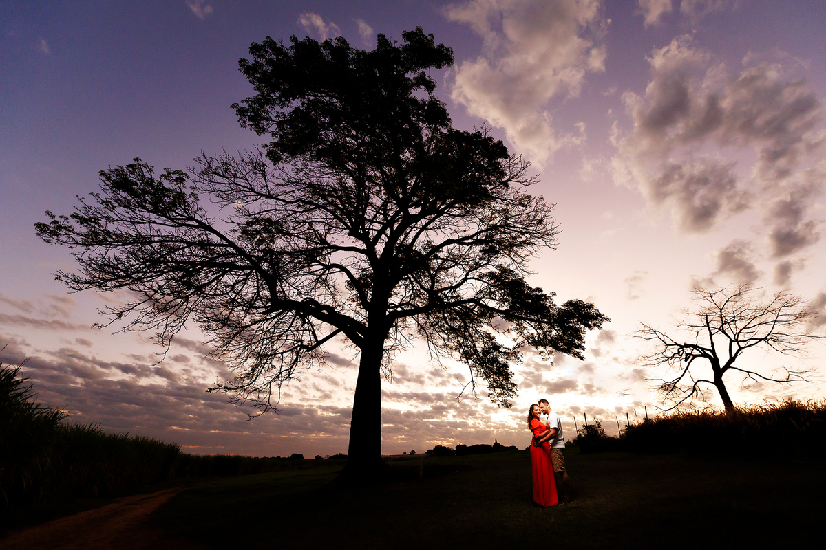 Ensaio Bodas de Trigo Ellen e Elizeu em Holambra SP