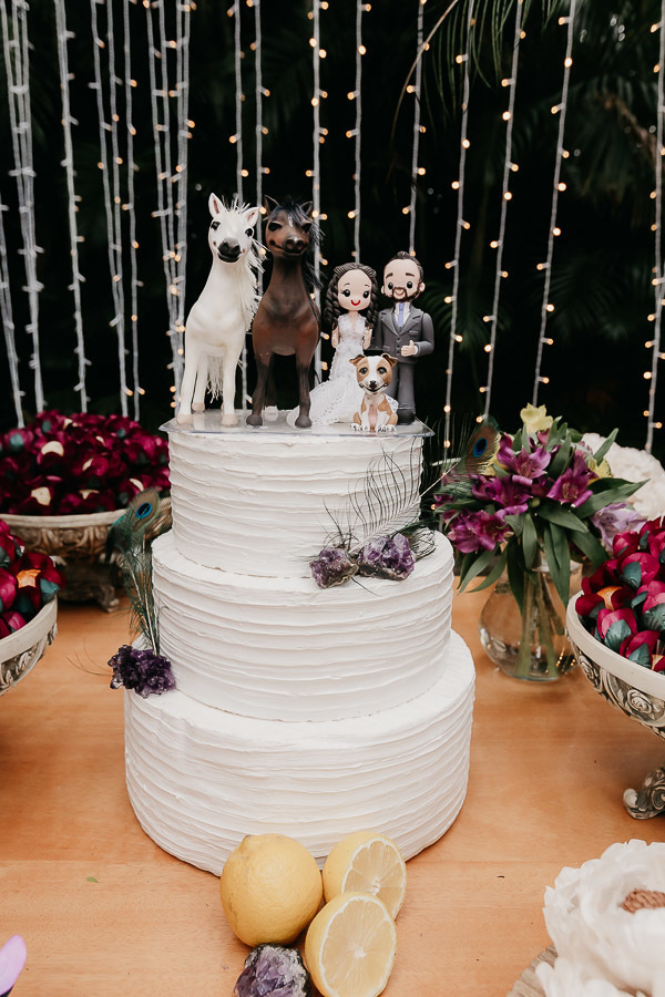 Casamento maravilhoso no Rancho Aveiro Eventos em Campinas SP da Aline e Pedro