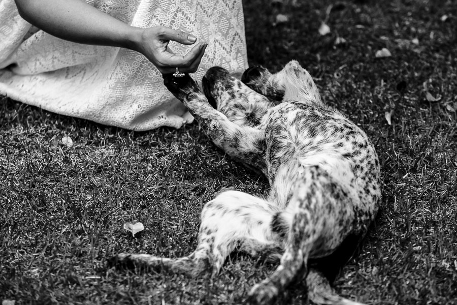 Casamento maravilhoso no Rancho Aveiro Eventos em Campinas SP da Aline e Pedro