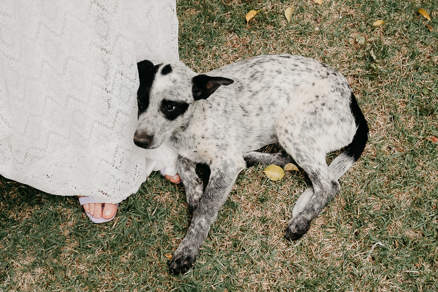 Casamento maravilhoso no Rancho Aveiro Eventos em Campinas SP da Aline e Pedro