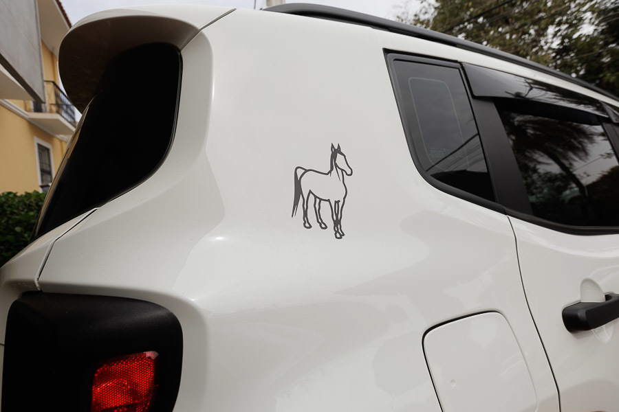 Casamento maravilhoso no Rancho Aveiro Eventos em Campinas SP da Aline e Pedro