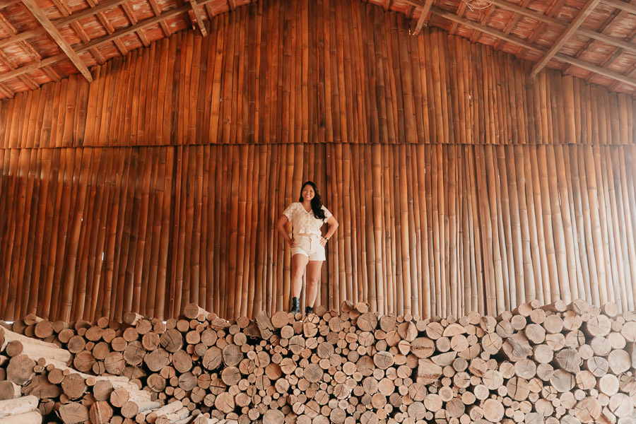 ensaio externo de aniversario de 40 anos em Holambra SP Gisele Shiraga