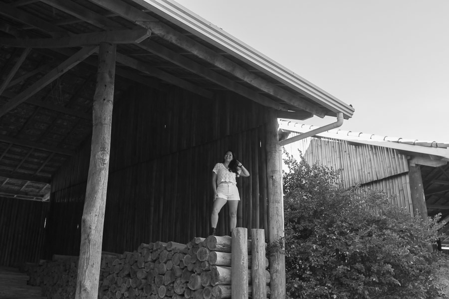 ensaio externo de aniversario de 40 anos em Holambra SP Gisele Shiraga