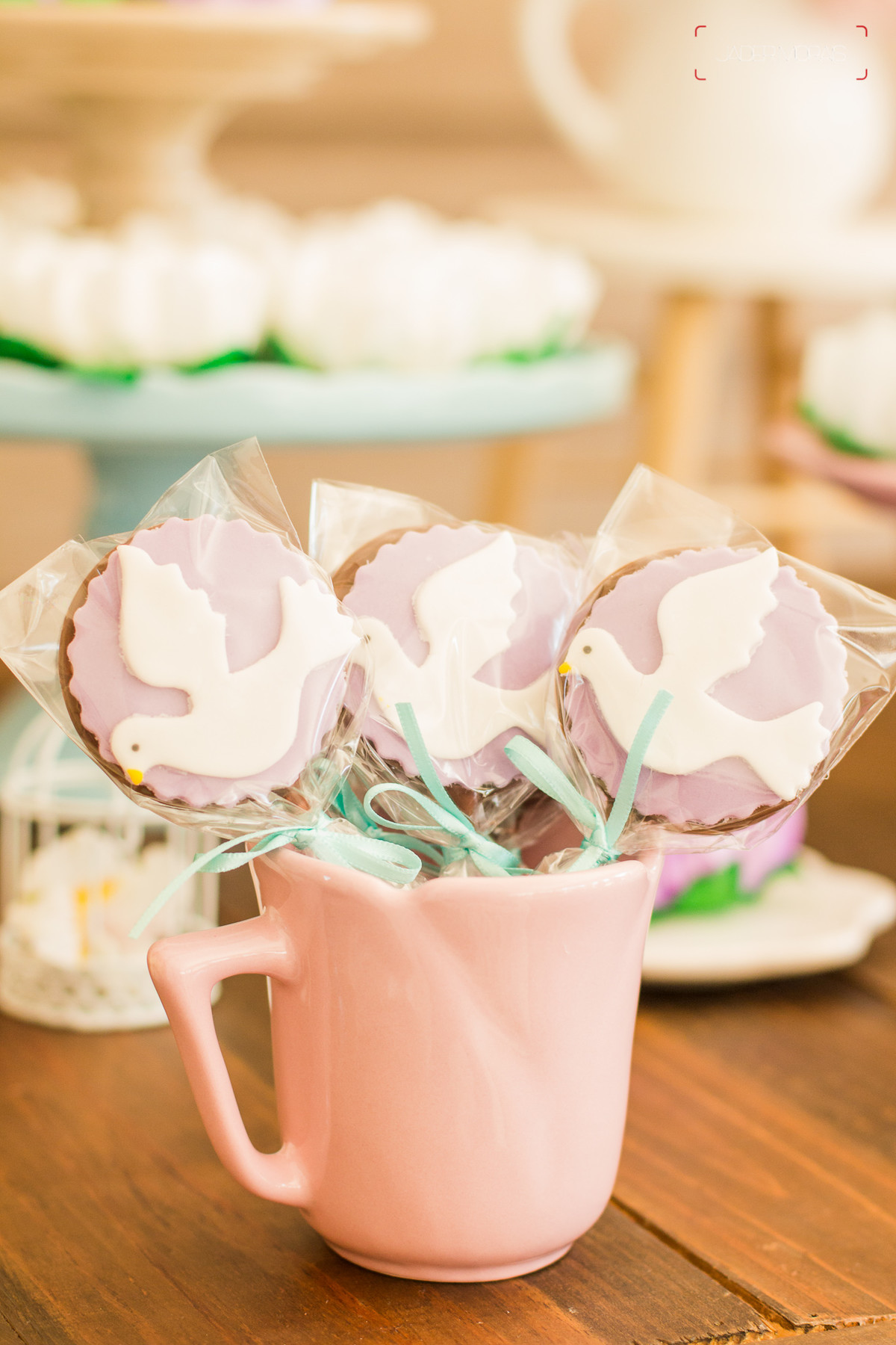 Fotografia de Aniversário Infantil Valinhos SP