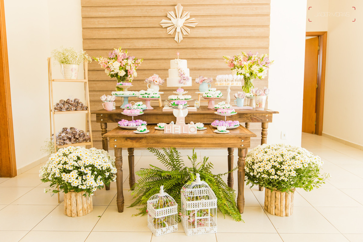 Fotografia de Aniversário Infantil Valinhos SP