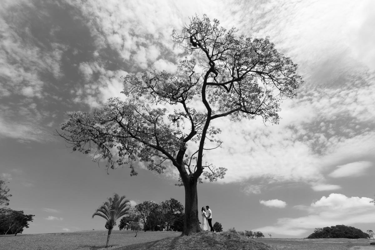 Fotografia de gestante embaixo da árvore no Parque Ecológico em Campinas