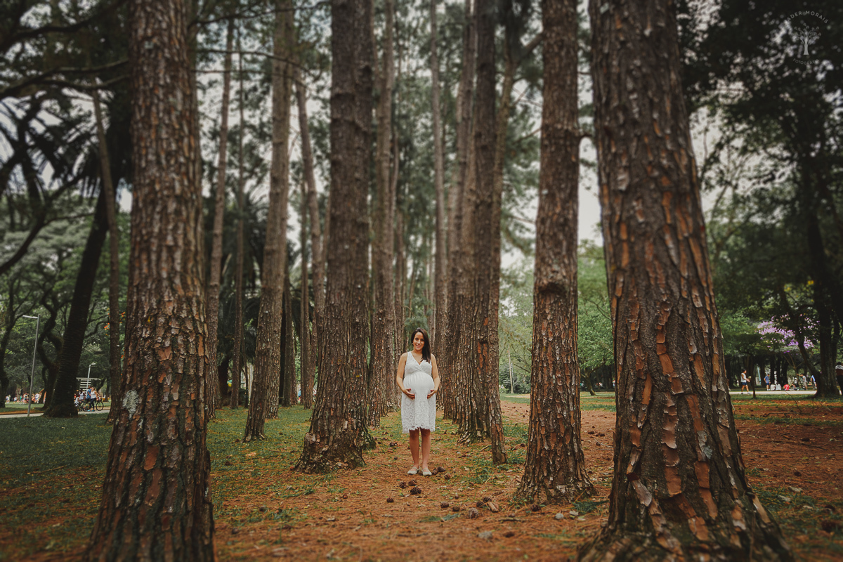Fotografia de Gestante Parque Ibirapuera São Paulo SP
