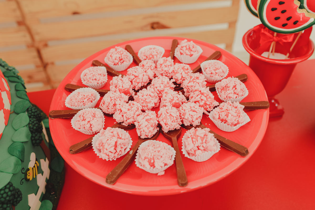 Fotografia de Aniversário Infantil Alameda dos Mamoeiros Parque Valinhos SP