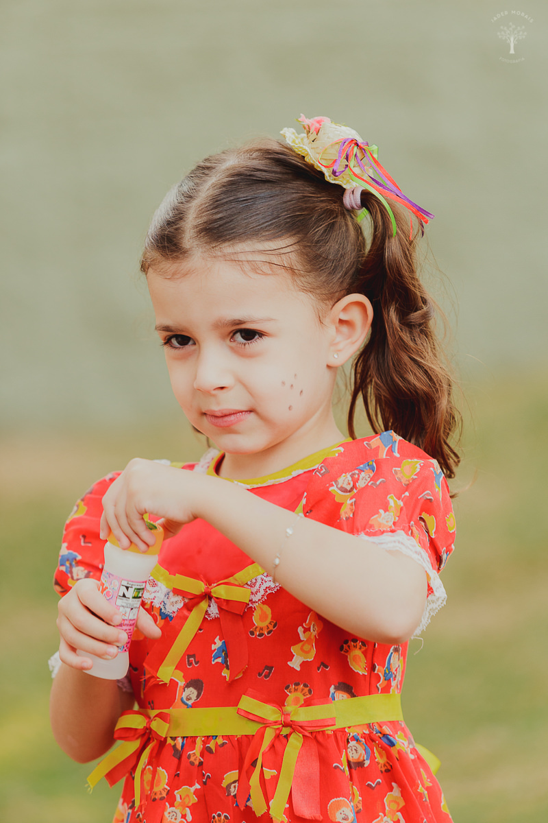 Fotografia de Aniversário Infantil Swiss Park Campinas SP