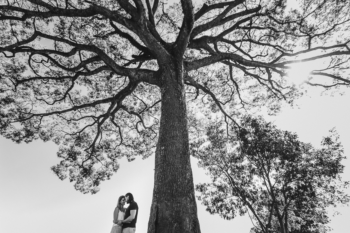 Ensaio de Casal Parque Ecológico Campinas SP