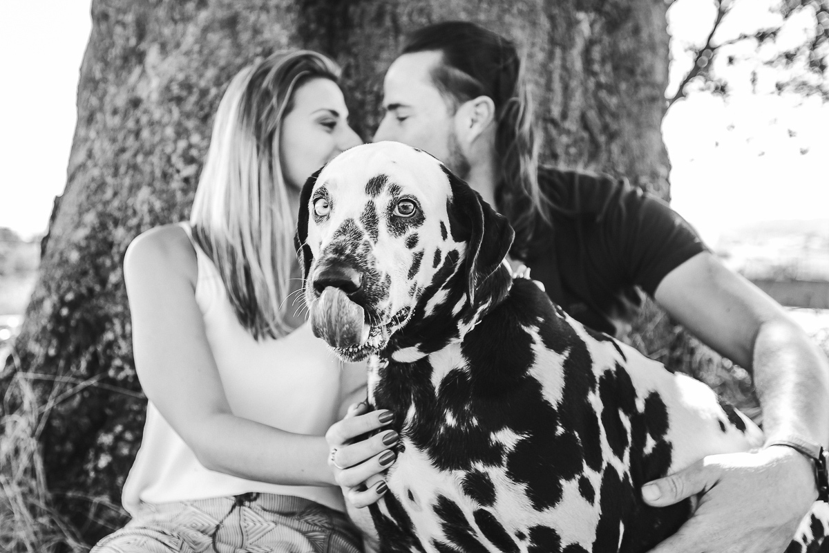 Ensaio de Casal Parque Ecológico Campinas SP