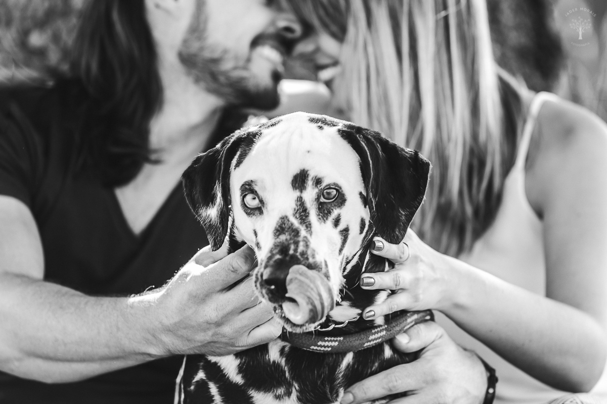 Ensaio de Casal Parque Ecológico Campinas SP