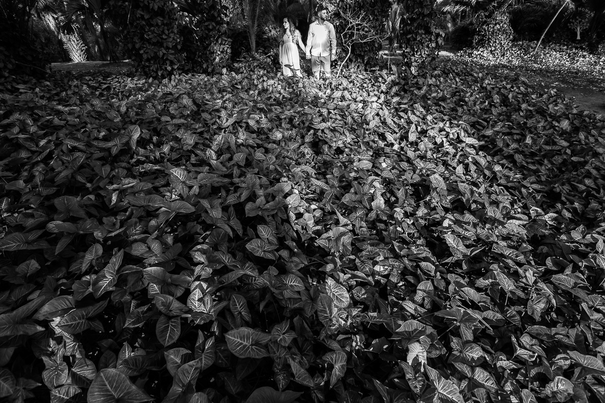 Ensaio de Casal Jardim Botânico Jundiaí SP