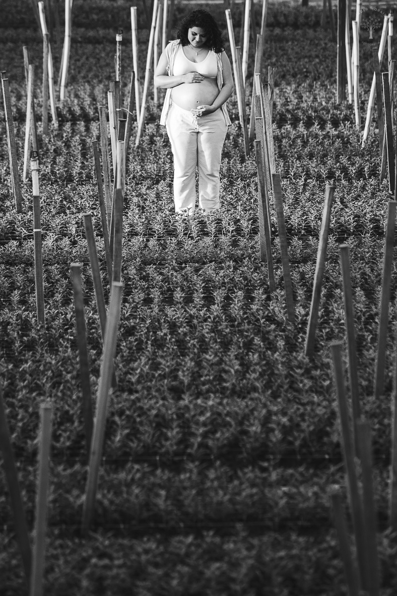 Fotografia de Gestante Cidade das Flores Holambra SP