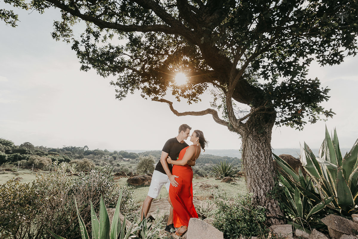 noivos-dancam-embaixo-arvore-valinhos-sp